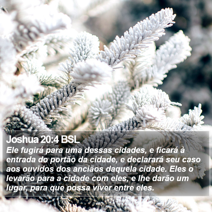 Joshua 20:4 BSL Bible Study