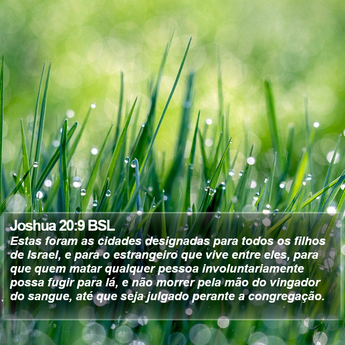Joshua 20:9 BSL Bible Study