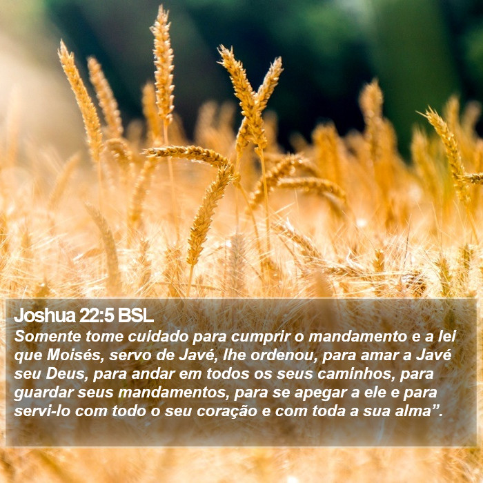 Joshua 22:5 BSL Bible Study