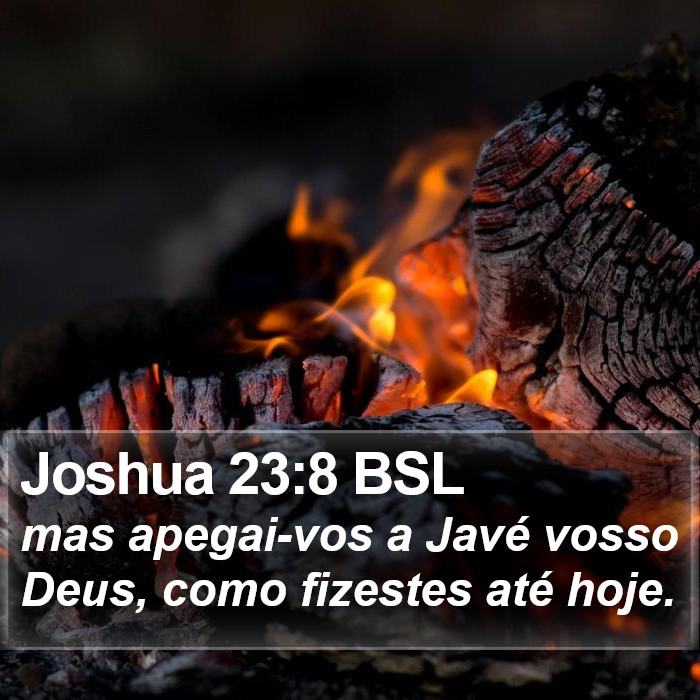 Joshua 23:8 BSL Bible Study