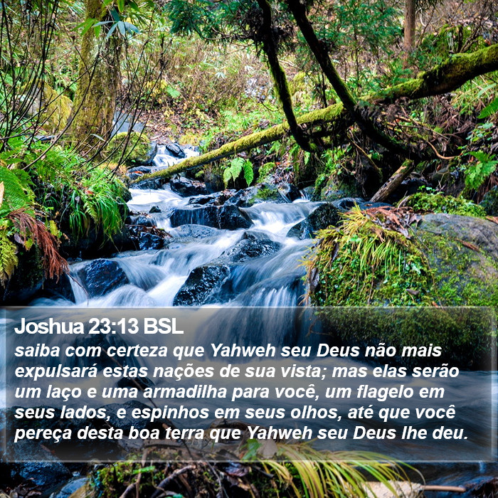 Joshua 23:13 BSL Bible Study