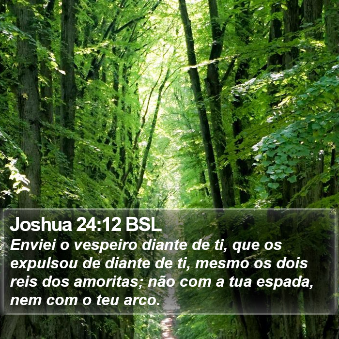 Joshua 24:12 BSL Bible Study