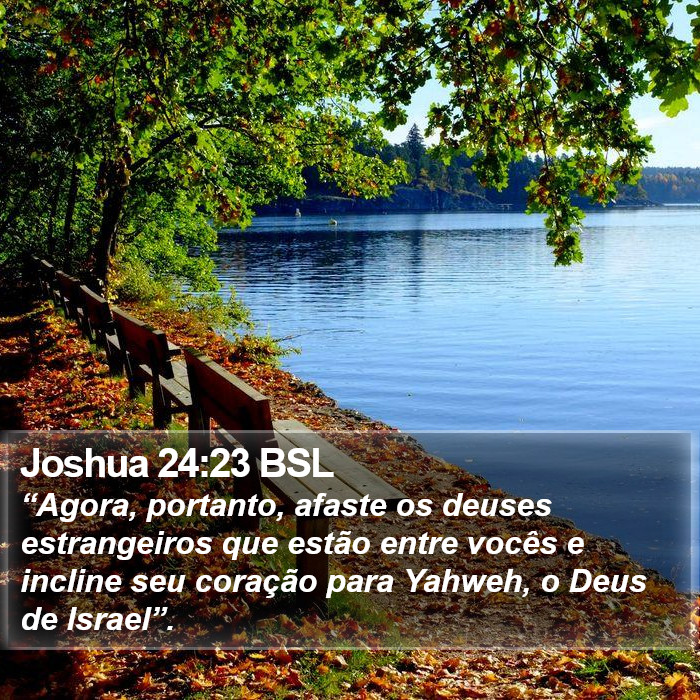 Joshua 24:23 BSL Bible Study