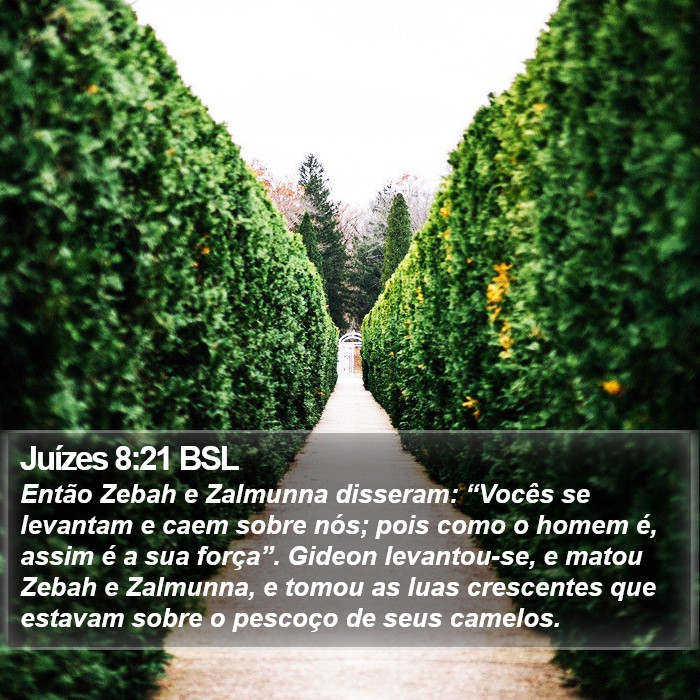 Juízes 8:21 BSL Bible Study