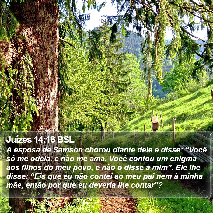 Juízes 14:16 BSL Bible Study