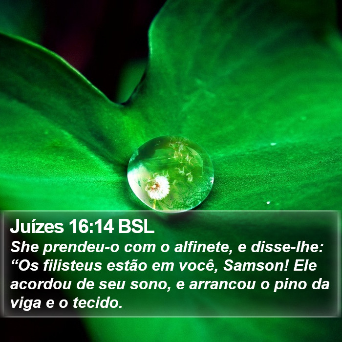 Juízes 16:14 BSL Bible Study