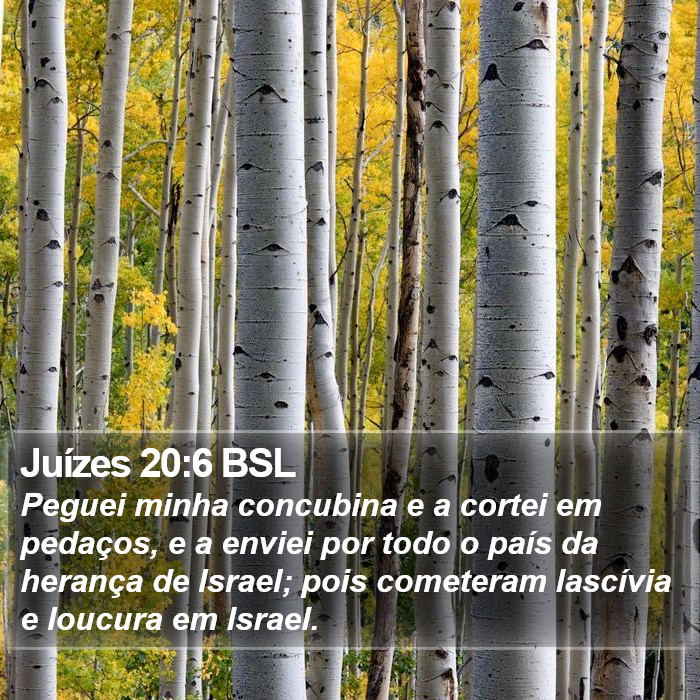 Juízes 20:6 BSL Bible Study