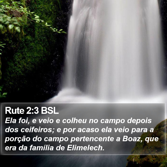 Rute 2:3 BSL Bible Study