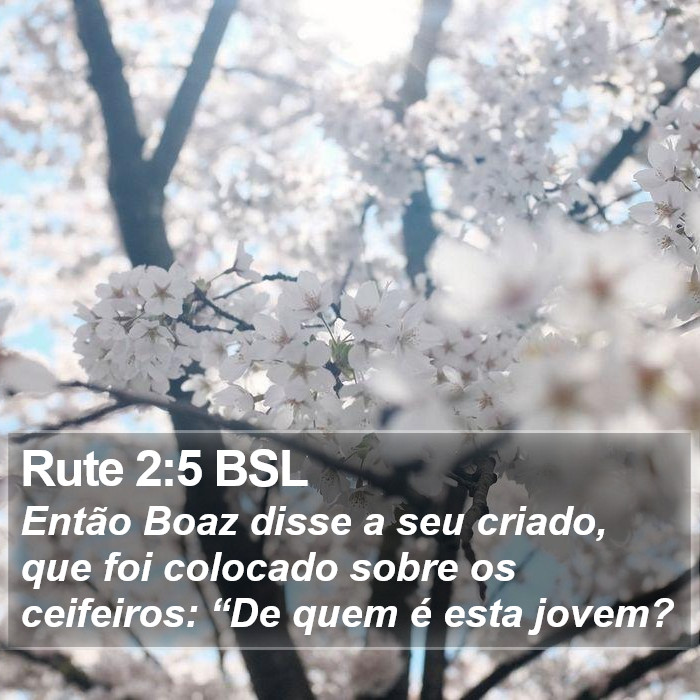 Rute 2:5 BSL Bible Study