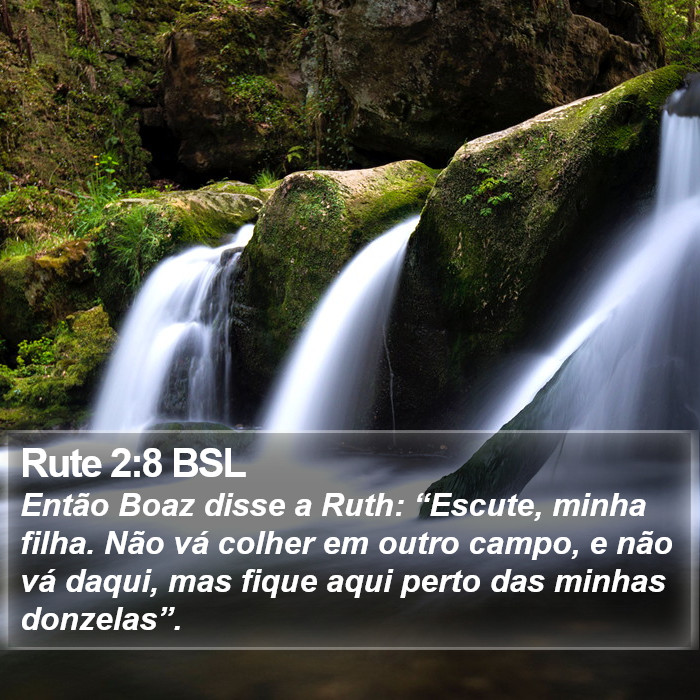 Rute 2:8 BSL Bible Study