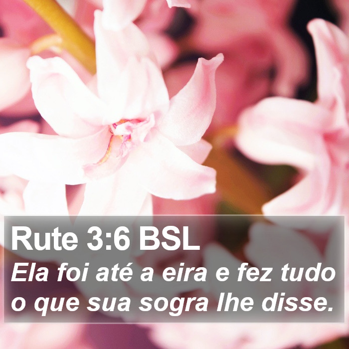 Rute 3:6 BSL Bible Study