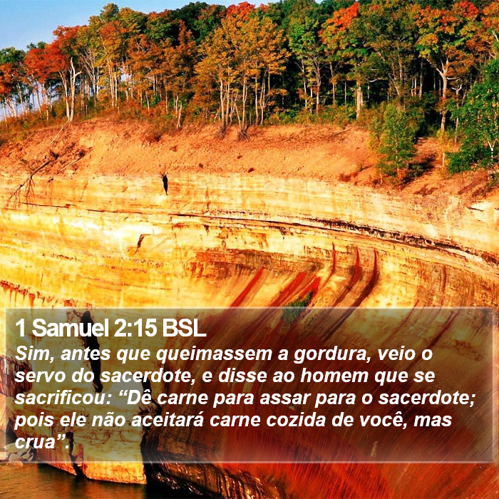 1 Samuel 2:15 BSL Bible Study
