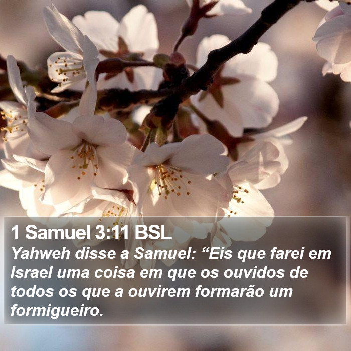 1 Samuel 3:11 BSL Bible Study