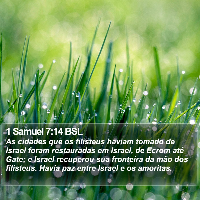 1 Samuel 7:14 BSL Bible Study