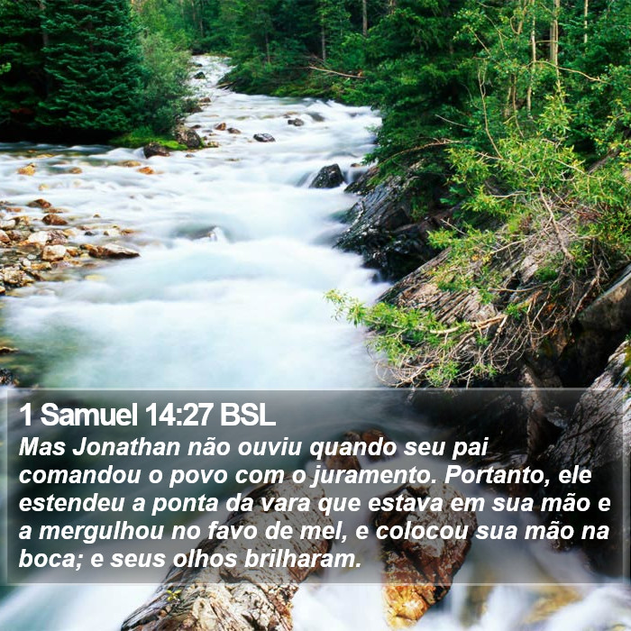 1 Samuel 14:27 BSL Bible Study