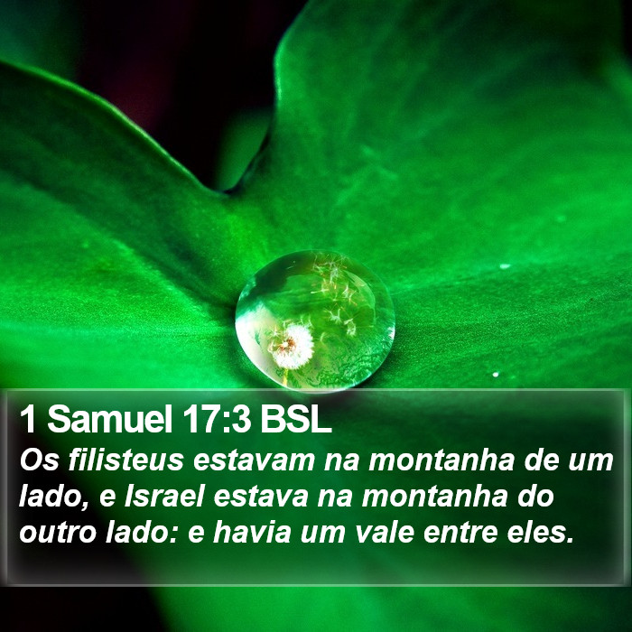 1 Samuel 17:3 BSL Bible Study