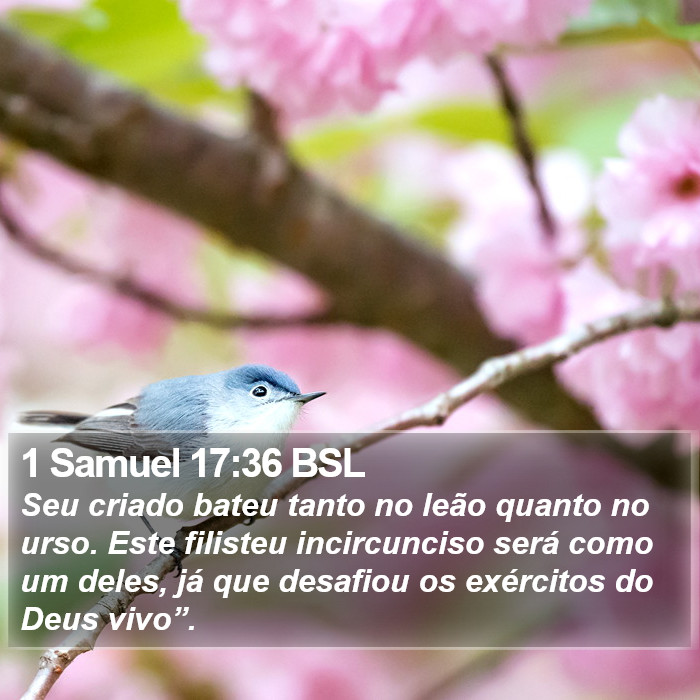 1 Samuel 17:36 BSL Bible Study