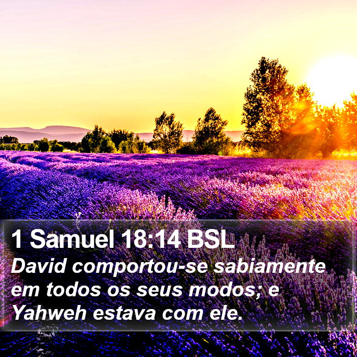 1 Samuel 18:14 BSL Bible Study