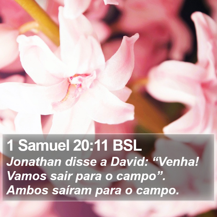 1 Samuel 20:11 BSL Bible Study