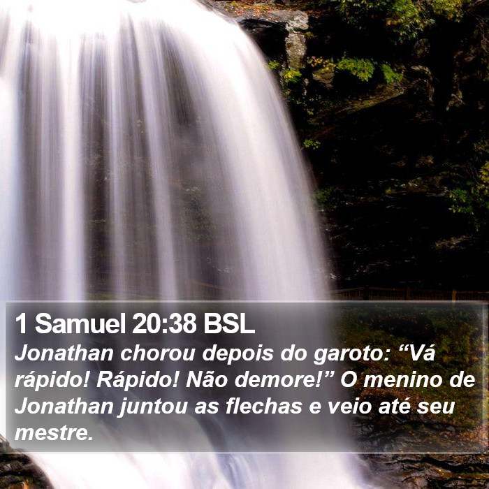 1 Samuel 20:38 BSL Bible Study