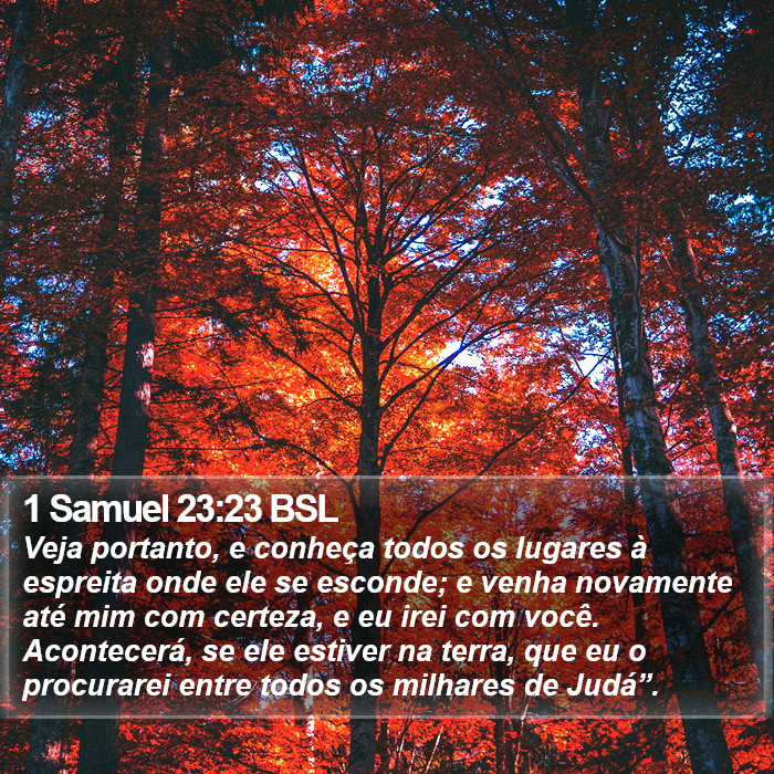 1 Samuel 23:23 BSL Bible Study