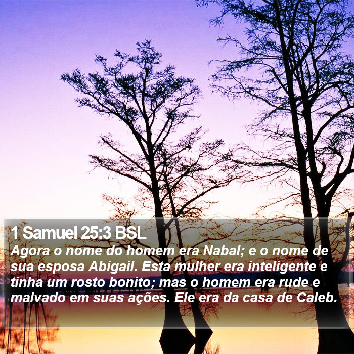1 Samuel 25:3 BSL Bible Study