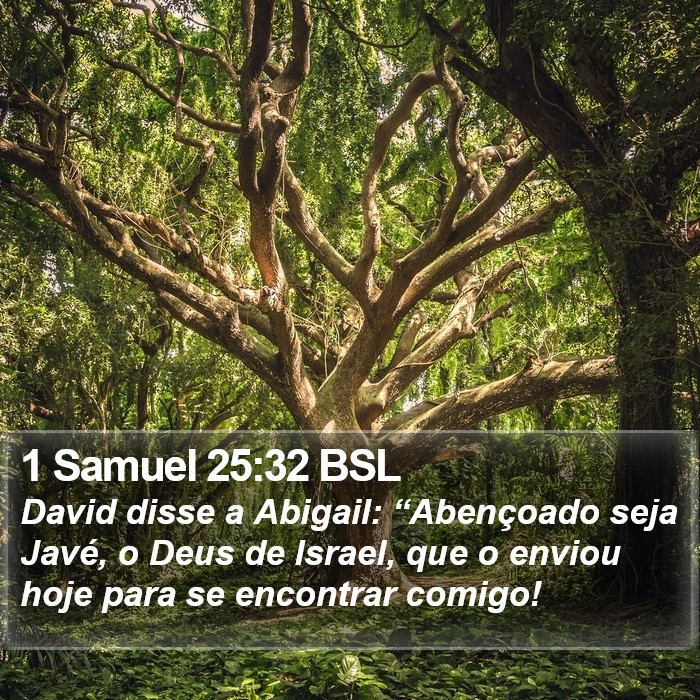 1 Samuel 25:32 BSL Bible Study