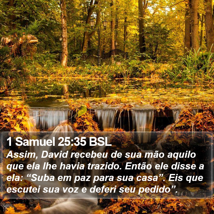 1 Samuel 25:35 BSL Bible Study