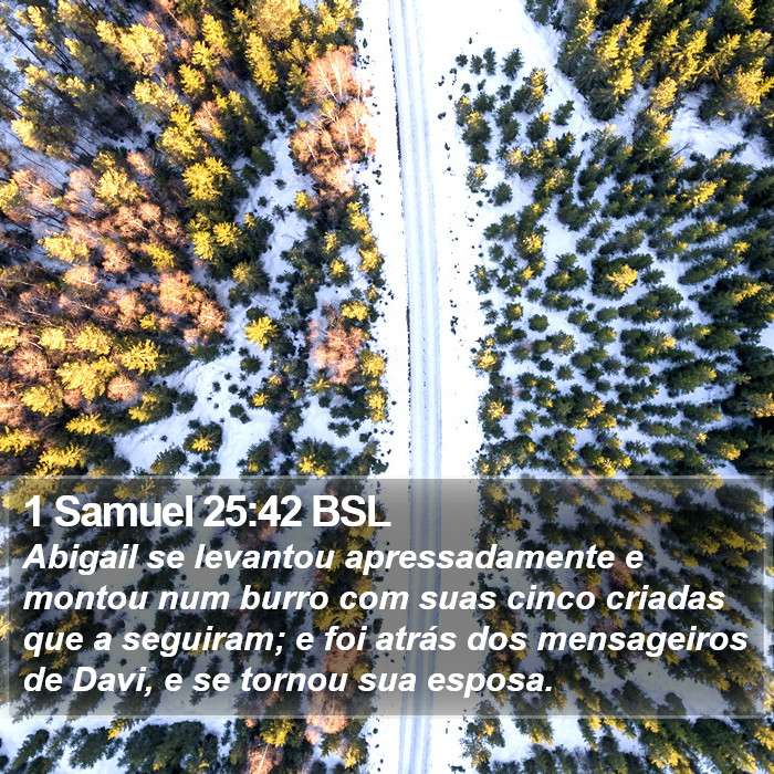 1 Samuel 25:42 BSL Bible Study