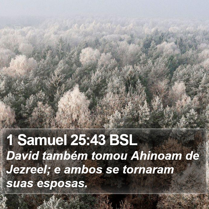 1 Samuel 25:43 BSL Bible Study