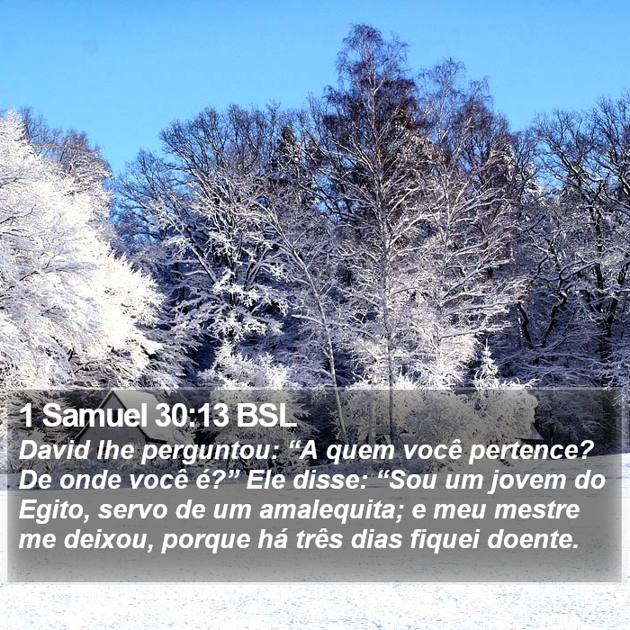 1 Samuel 30:13 BSL Bible Study