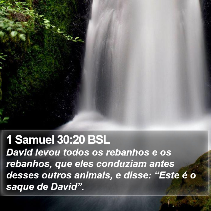 1 Samuel 30:20 BSL Bible Study