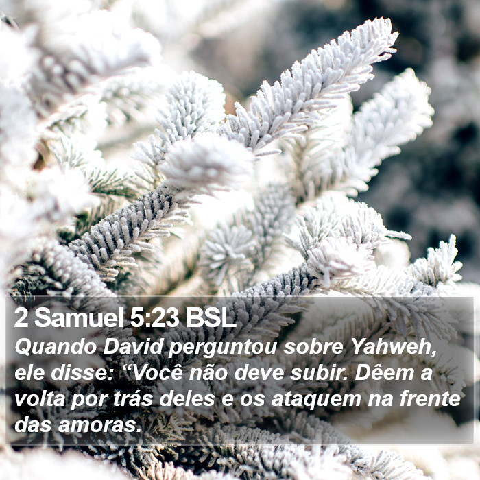 2 Samuel 5:23 BSL Bible Study