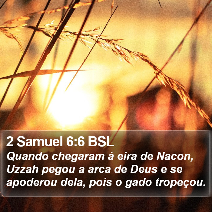 2 Samuel 6:6 BSL Bible Study