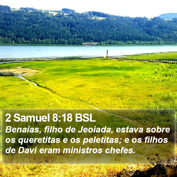 2 Samuel 8:18 BSL Bible Study