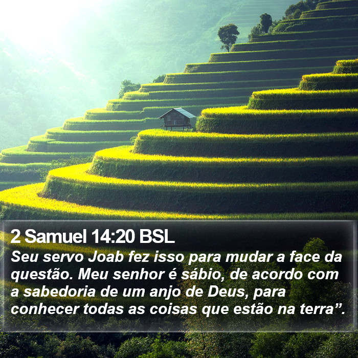 2 Samuel 14:20 BSL Bible Study