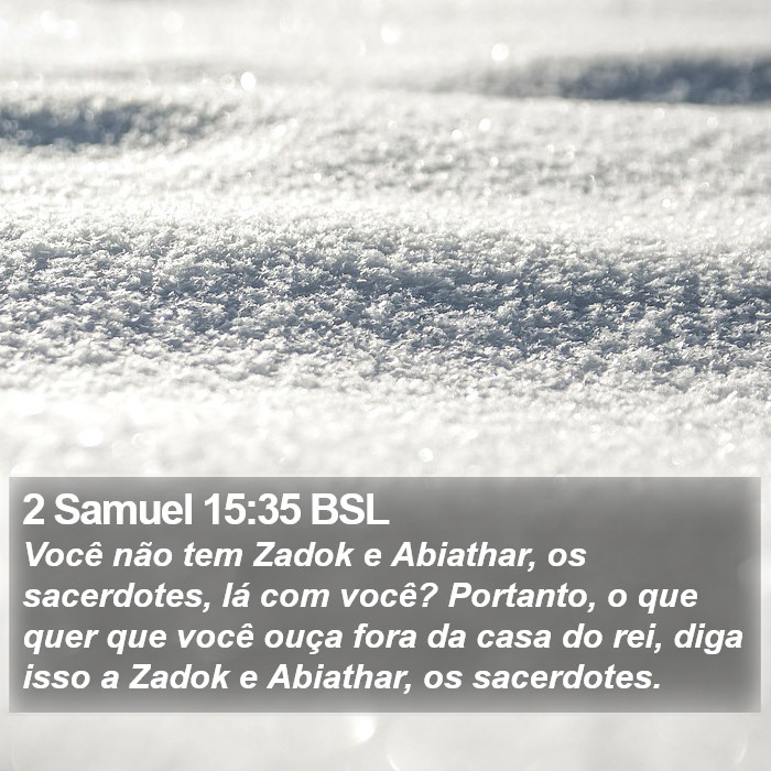 2 Samuel 15:35 BSL Bible Study