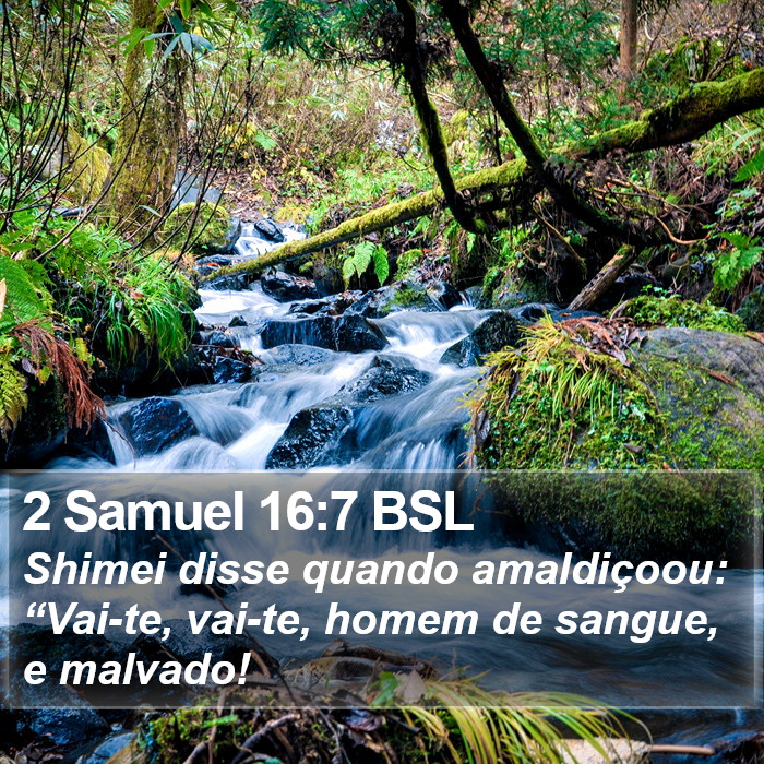 2 Samuel 16:7 BSL Bible Study