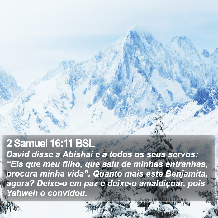 2 Samuel 16:11 BSL Bible Study