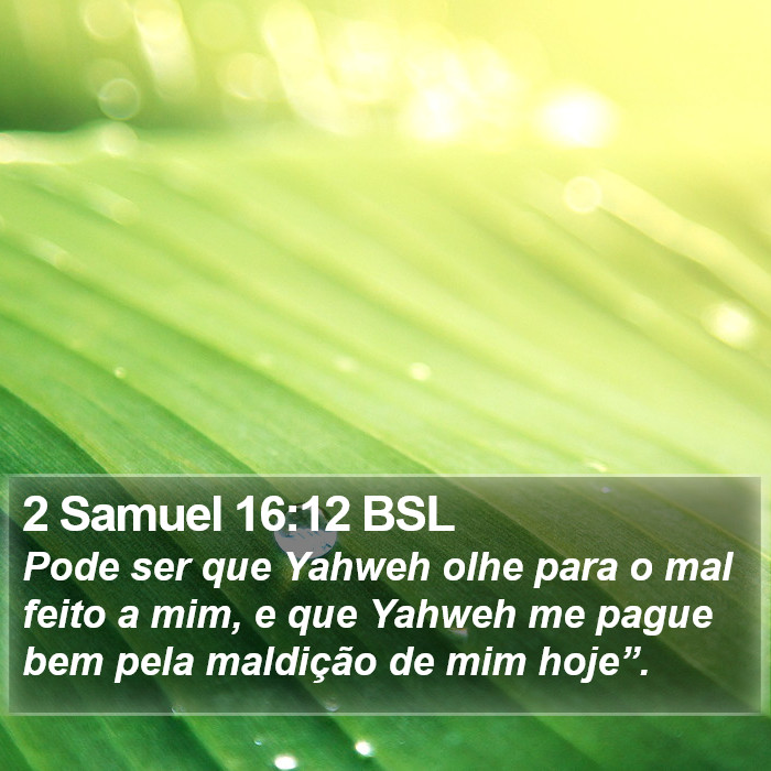 2 Samuel 16:12 BSL Bible Study