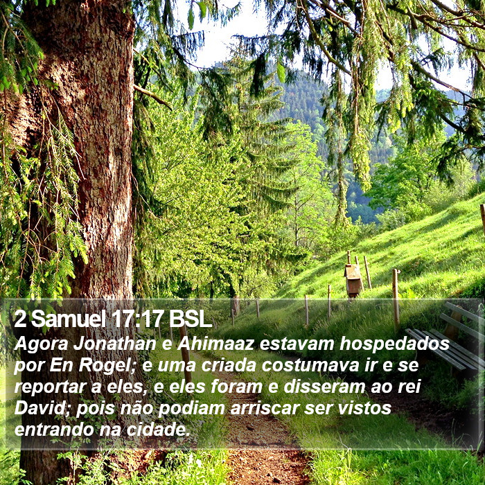 2 Samuel 17:17 BSL Bible Study