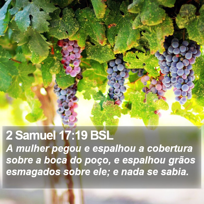 2 Samuel 17:19 BSL Bible Study