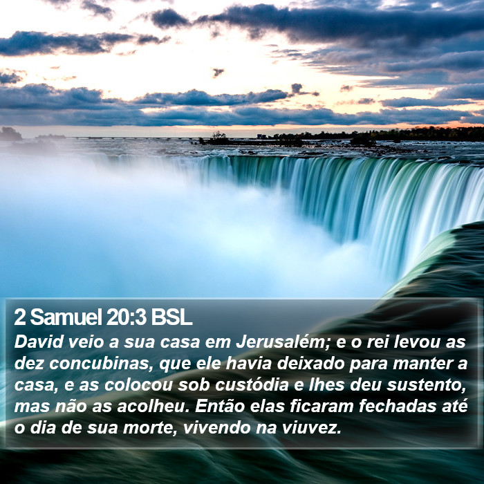 2 Samuel 20:3 BSL Bible Study