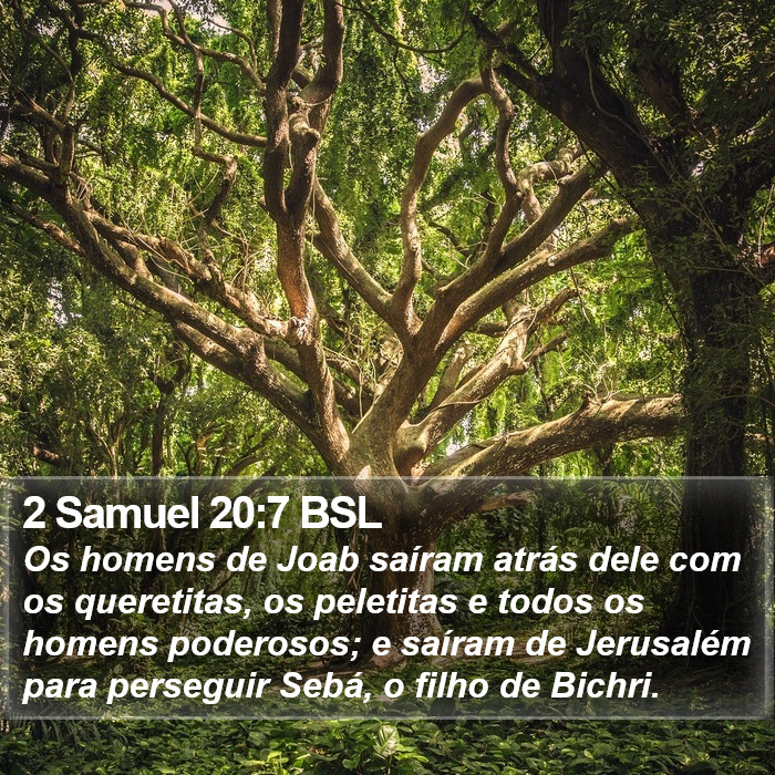 2 Samuel 20:7 BSL Bible Study