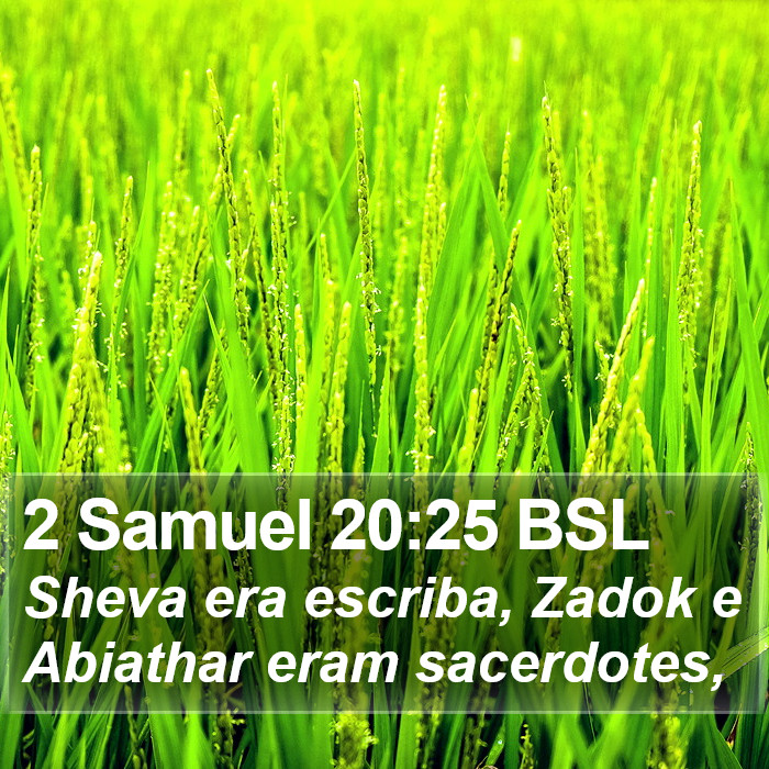 2 Samuel 20:25 BSL Bible Study