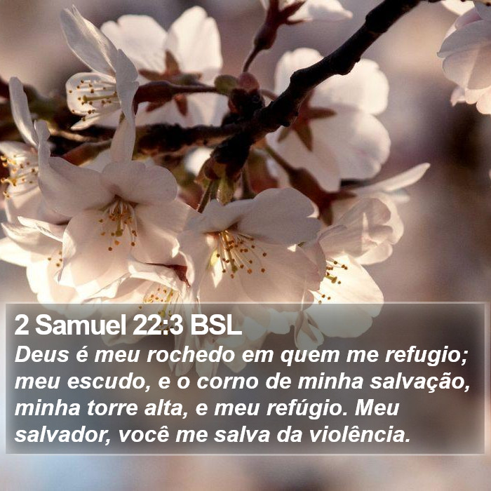 2 Samuel 22:3 BSL Bible Study