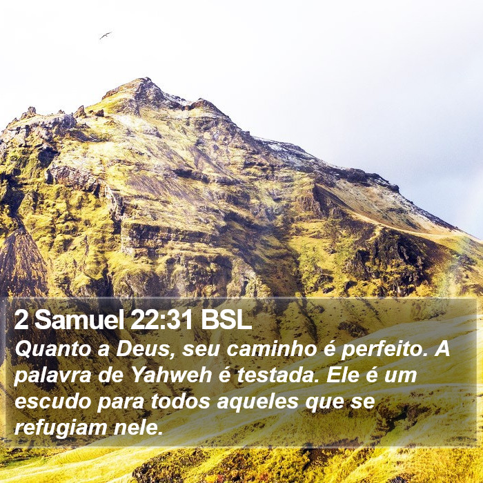 2 Samuel 22:31 BSL Bible Study