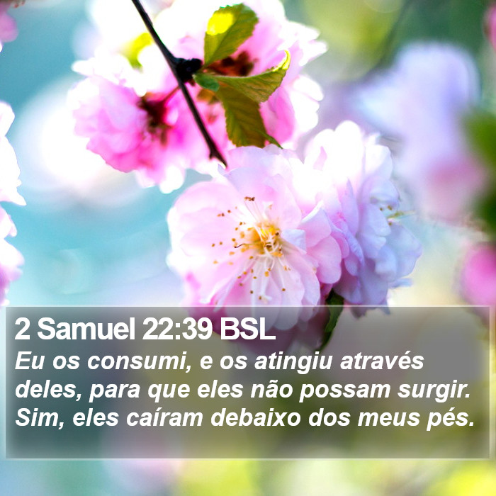 2 Samuel 22:39 BSL Bible Study