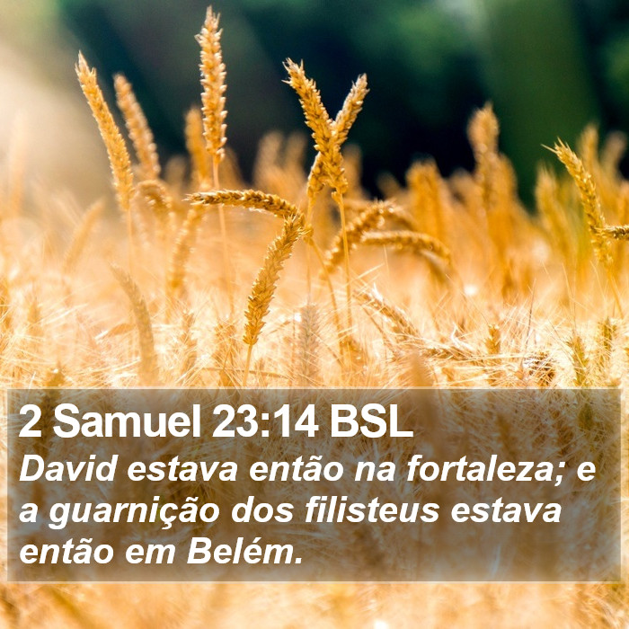 2 Samuel 23:14 BSL Bible Study