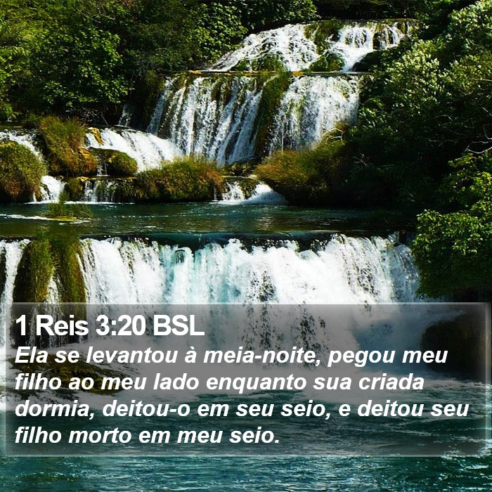 1 Reis 3:20 BSL Bible Study
